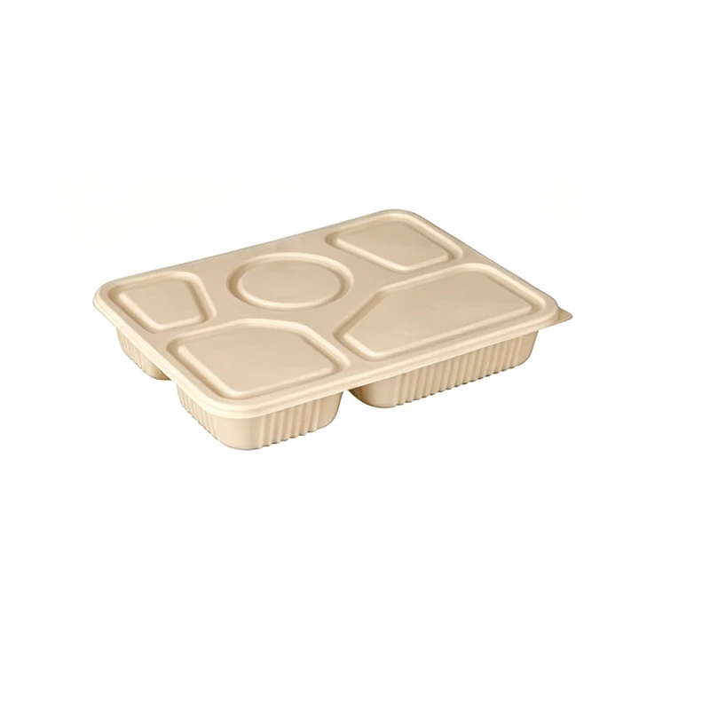 6 Compartment Eco-friendly Lunch Box