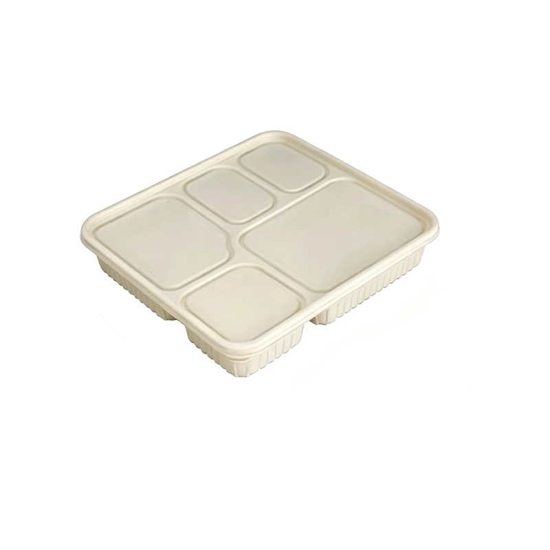 Large Capacity 5 Compartment Lunch Box